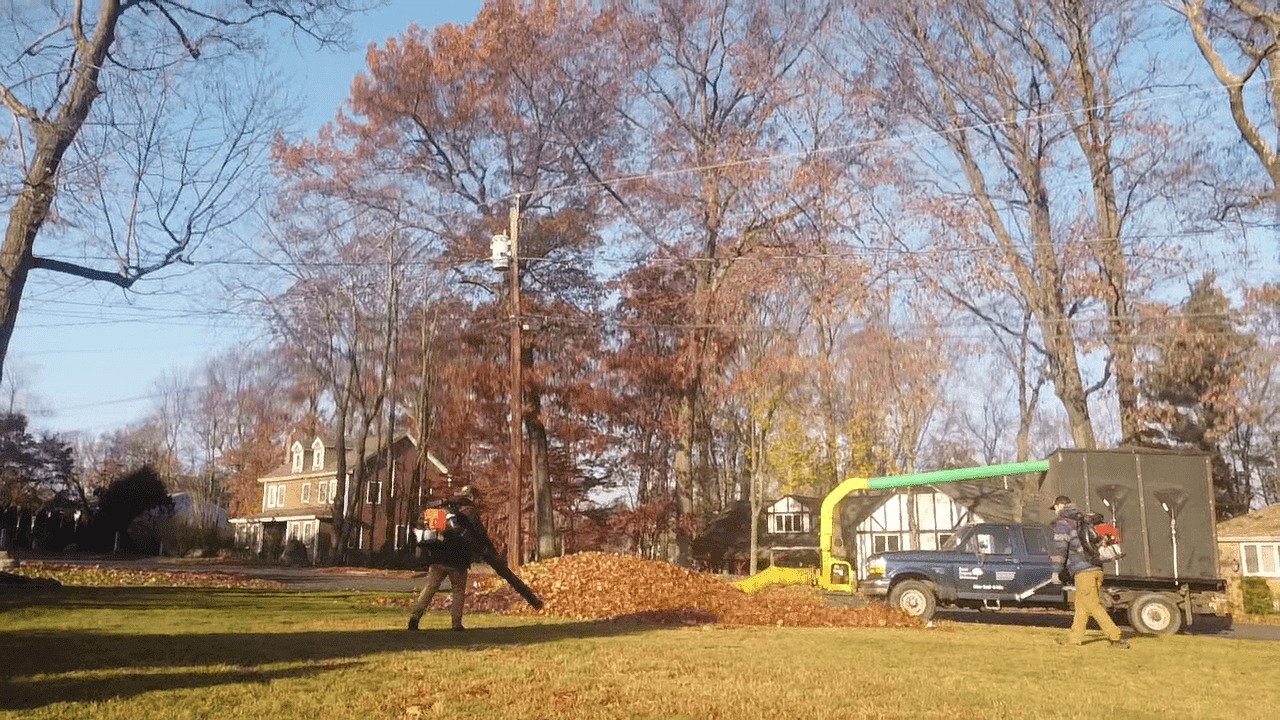 Seasonal Clean-Up Services