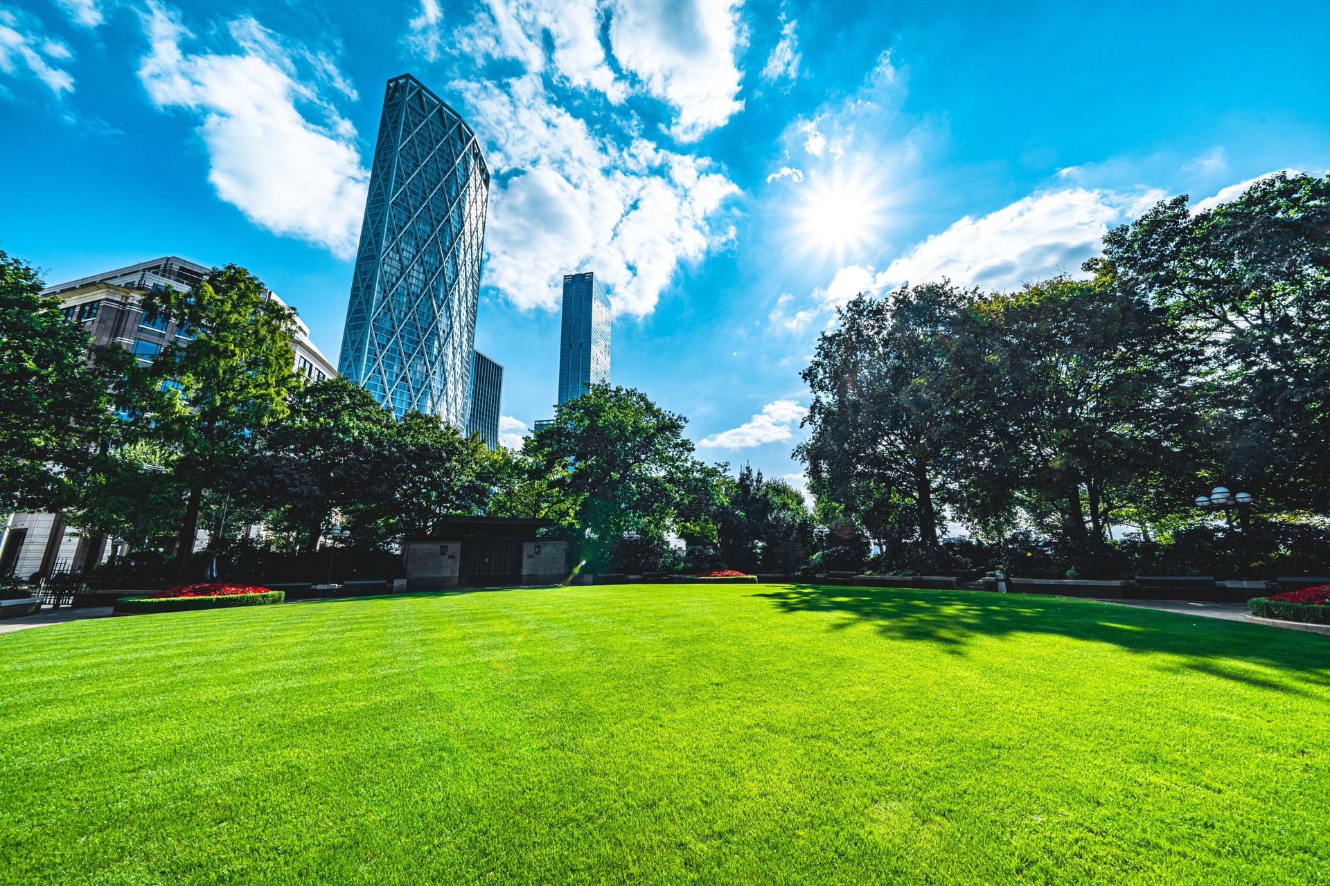 Green grass field in big city park